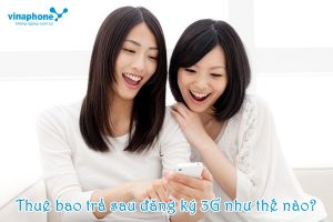 Dang ky 3g cho thue bao Vinaphone tra sau