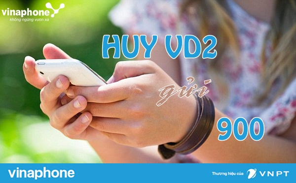 Cách hủy gói cước VD2 Vinaphone nhanh qua đầu số 900 1 huy goi vd2 vinaphone