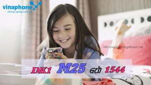 Đăng ký gói M25 Vinaphone nhận 600MB DATA chỉ 25.000đ/tháng 13 Cách đăng ký gói M25 Vinaphone