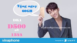 Đăng ký gói D500 Vinaphone