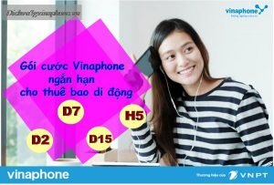 Các gói 3g/4g vinaphone ngắn hạn