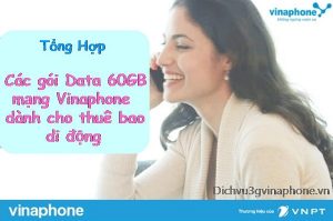 Các gói data 60GB mạng Vinaphone