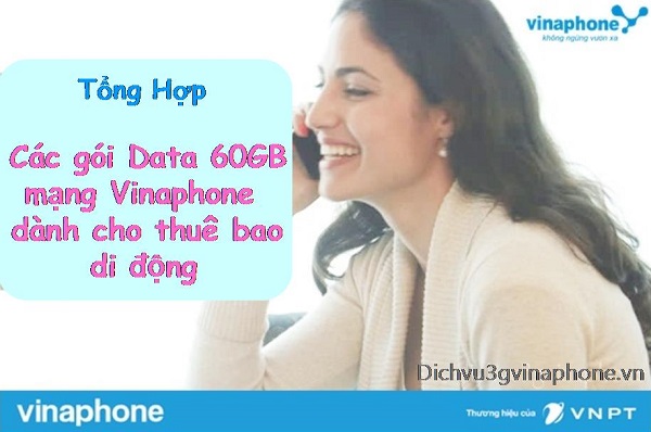 Tổng hợp tất cả các gói cước ưu đãi 60GB data của Vinaphone 1 Các gói data 60GB mạng Vinaphone