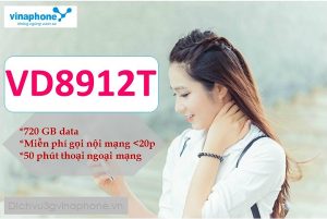 Gói cước VD89 chu kỳ 12 tháng mạng Vinaphone