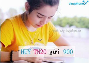 Hủy gói cước TN20 mạng Vinaphone