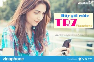 Hướng dẫn hủy gói TR7 Vinaphone nhanh chóng qua tổng đài 900 1 Hủy gói TR7 mạng Vinaphone