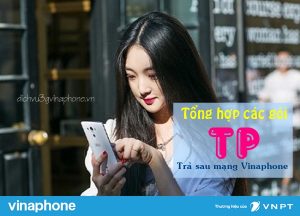 Các gói trả sau TP mạng Vinaphone