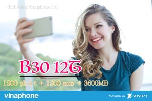 Đăng ký gói B30 12T mạng Vinaphone