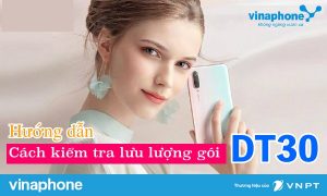 Hướng dẫn tra cứu ưu đãi cho gói cước DT30 mạng Vinaphone