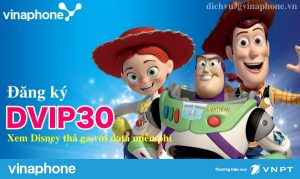 Đăng ký gói cước DVIP30 mạng Vinaphone