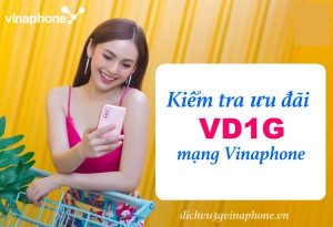 Hướng dẫn kiểm tra ưu đãi gói VD1G Vinaphone nhanh chóng 6 Kiem-tra-luu-luong-uu-dai-goi-VD1G-Vinaphone