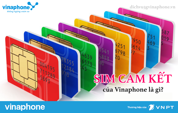 Sim cam kết Vinaphone là gì? Quy định sử dụng sim cam kết 1 Sim-cam-ket-Vinaphone-la-gi