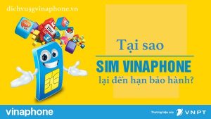 Tai-sao-sim-Vinaphone-lai-den-han-bao-hanh