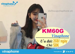 Đăng ký gói KM60G Vinaphone nhận ngay 60GB Data chỉ 50k/tháng 6 Dang-ky-goi-KM60G-Vinaphone-chi-50k-uu-dai-2GB-ngay