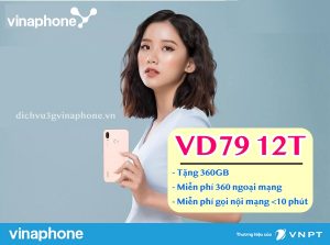 Đăng ký gói VD7912T Vinaphone chu kỳ 12 tháng chỉ 790k/năm 3 Dang-ky-goi-VD79-12T Vinaphone