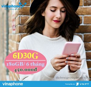 Cach-dang-ky-goi-6D30G-Vinaphone