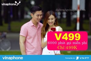Cach-dang-ky-goi-V499-Vinaphone-uu-dai-6000-phut-goi