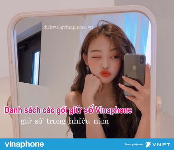 Danh-sach-cac-goi-giu-so-Vinaphone-giup-ban-giu-so-trong-nhieu-nam