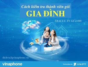 Cach-kiem-tra-thanh-vien-goi-gia-dinh-Vinaphone