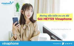 Huong-dan-kiem-tra-cuu-da-goi-HEY59-Vinaphone
