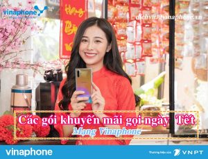 Dang-ky-cac-goi-khuyen-mai-goi-Tet-Vinaphone