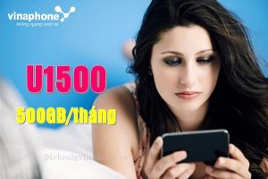 goi cuoc U1500 mang Vina