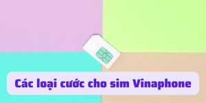 Tổng hợp thông tin các loại cước cho sim Vinaphone hiện nay 12 các loại cước cho sim vinaphone