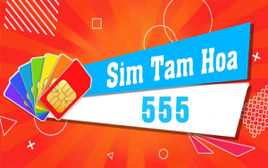 Khám phá thông tin thú vị về dòng sim số đẹp Tam hoa 555 14 Sim số đẹp tam hoa 555