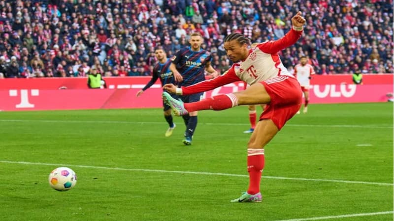 Sane