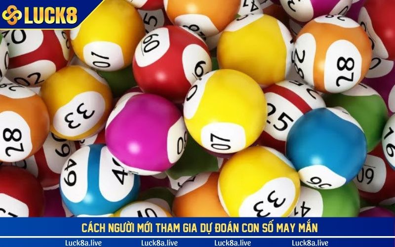 cach nguoi moi tham gia du doan con so may man