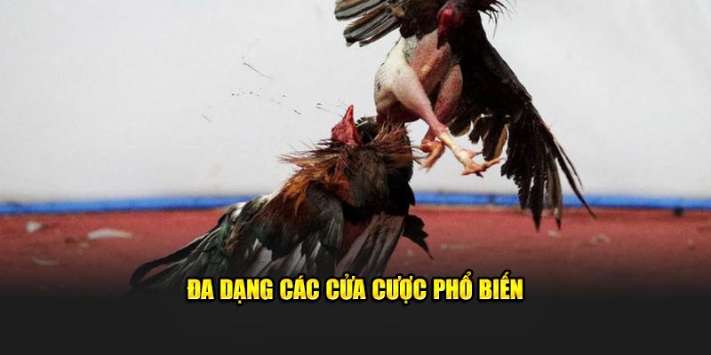 da-dang-cac-cua-cuoc-pho-bien