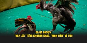 Đá gà OK365: "Nảy lửa" từng khoảnh khắc, "rinh tiền" về túi! 7 da ga ok365 nay lua tung khoanh khac rinh tien ve tui