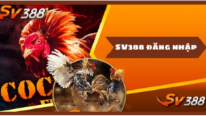 Mẹo Truy Cập Và Đăng Nhập SV388 Không Cần Đổi Link 1 dang-nhap-sv388