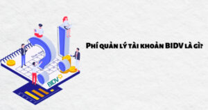 Phí Quản Lý Tài Khoản BIDV – Cập Nhật Mới Nhất 29 phi-quan-ly-tai-khoan-bidv